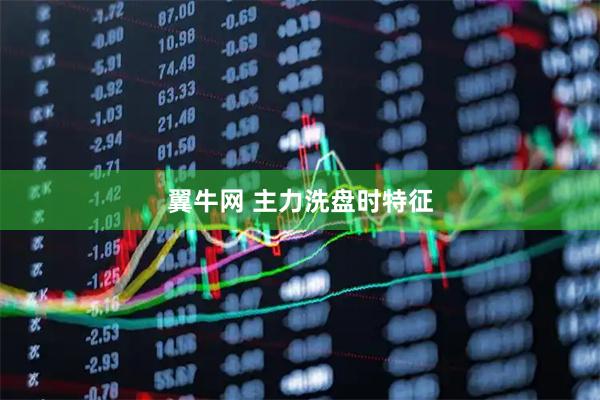 翼牛网 主力洗盘时特征