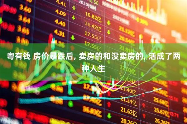 粤有钱 房价暴跌后, 卖房的和没卖房的, 活成了两种人生