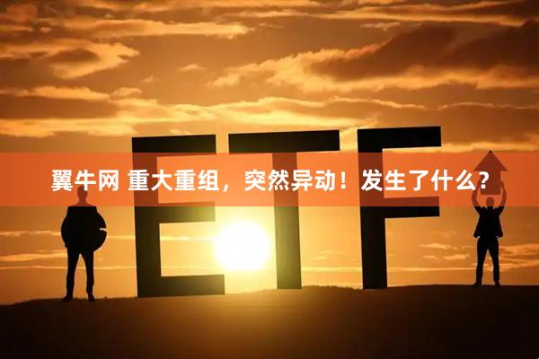翼牛网 重大重组，突然异动！发生了什么？